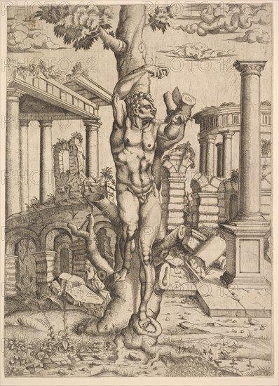 Man Against a Tree, ca. 1543-44. Creator: Master IQV.