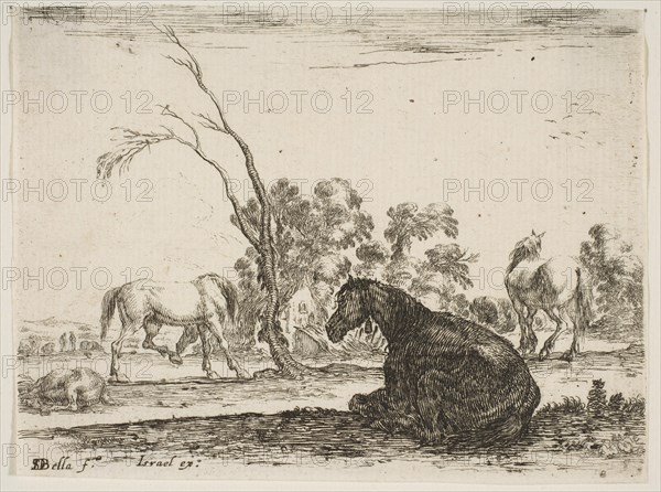 Plate 8: a seated horse to right, seen from behind and turned to the left, three other hor..., 1642. Creator: Stefano della Bella.