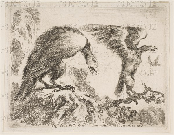 Plate 2: eagle and eaglet, from 'Various animals'