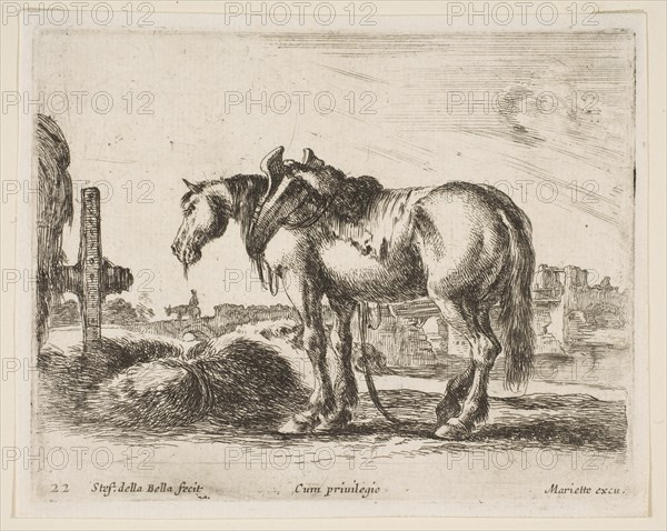 Plate 22: cart horse, from 'Various animals'