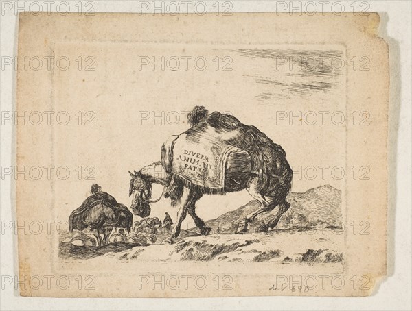 Plate 1: a pack horse, from 'Various animals'