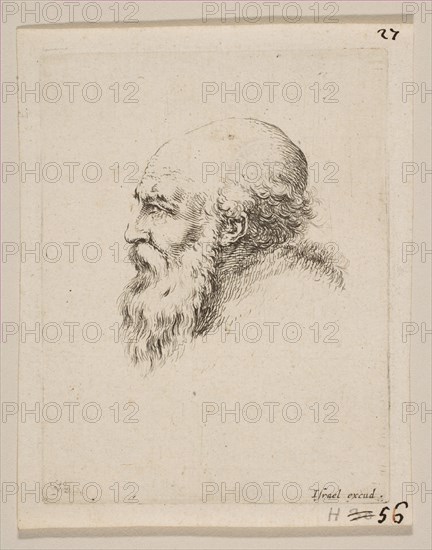 Head of a Bald and Bearded Old Man in Profile, from 'Various heads and figures'