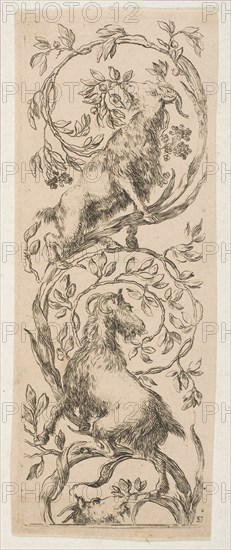 Two Goats Nibbling Branches, ca. 1653. Creator: Stefano della Bella.