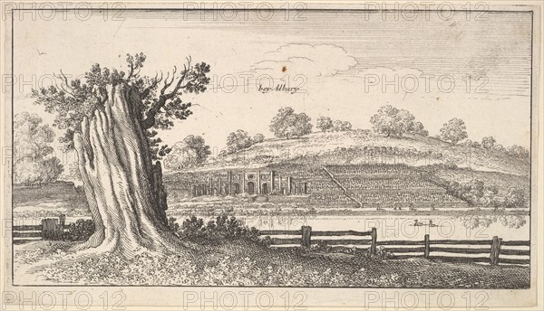 Albury with tree-stump in foreground, 1625-77. Creator: Wenceslaus Hollar.