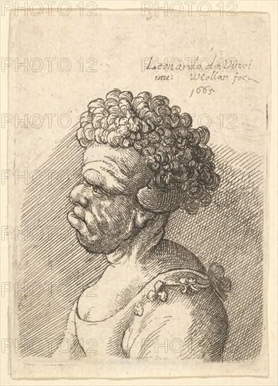 Bust of a deformed woman with curly hair in profile to the left, 1665. Creator: Wenceslaus Hollar.