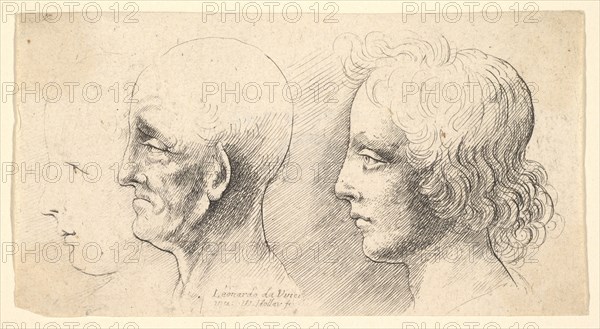 Three profile heads, one in outline only, 1625-77. Creator: Wenceslaus Hollar.