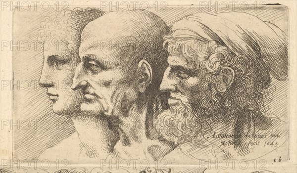 Row of three heads in profile to left, 1645. Creator: Wenceslaus Hollar.