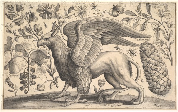 A Griffin, 1625-77. Creator: Wenceslaus Hollar.