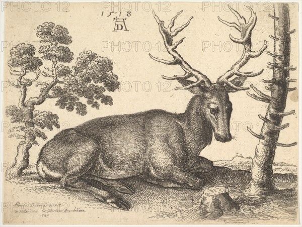 Stag lying to right, 1649. Creator: Wenceslaus Hollar.