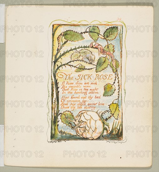 Songs of Innocence and of Experience: The Sick Rose, ca. 1825. Creator: William Blake.