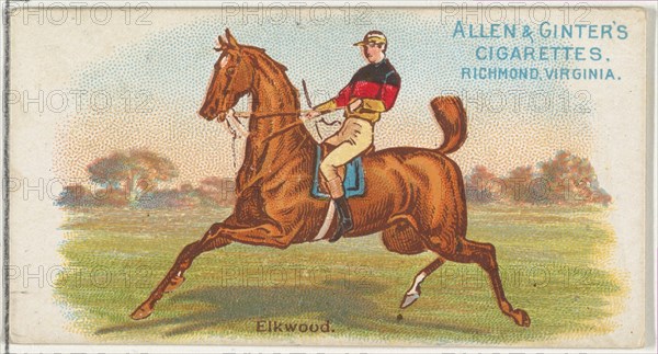 Elkwood, from The World's Racers series