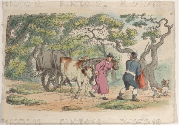 Plate 40, from "World in Miniature", 1816.