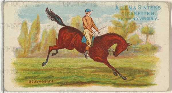 Stuyvesant, from The World's Racers series