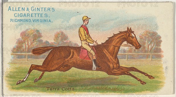 Terra Cotta