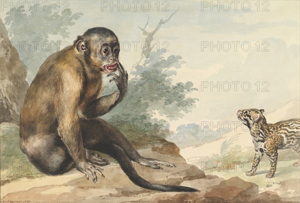 A Monkey Sitting on a Rock Looking at a Civet, 1764.