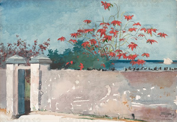 A Wall, Nassau, 1898.