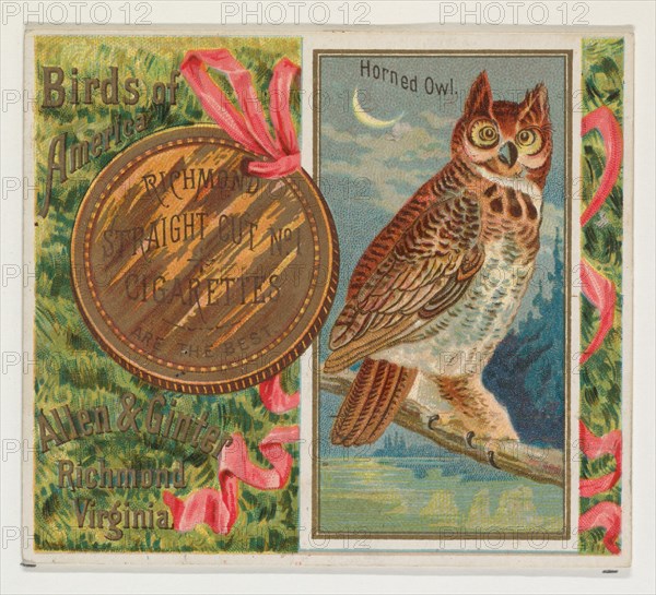 Horned Owl, from the Birds of America series (N37) for Allen & Ginter Cigarettes, 1888.