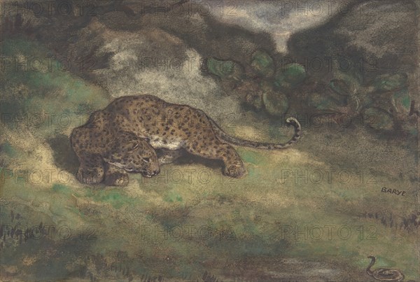 Leopard and Serpent, 1810-75.