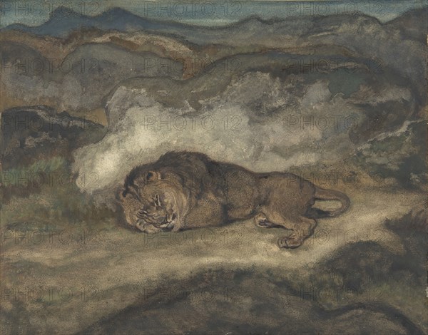 Lion Sleeping, 1810-75.