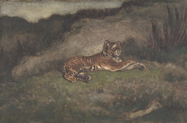 Tiger, 1810-75.