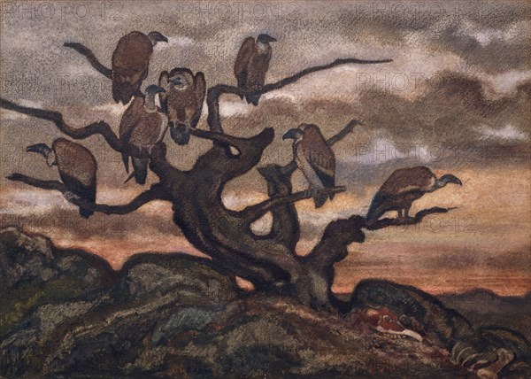 Vultures on a Tree, 1810-75.