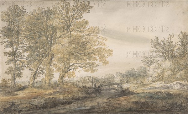 Landscape with Trees, 1635-91.