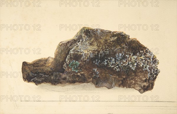 Study of a Rock, early 19th century.
