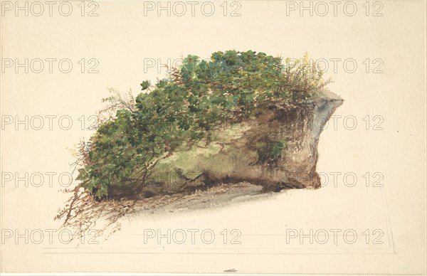 Study of a Piece of Turf, early 19th century.