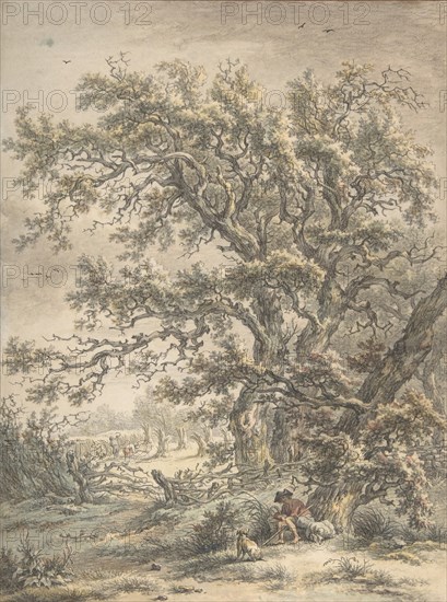 A Man Resting Under a Tree, n.d..