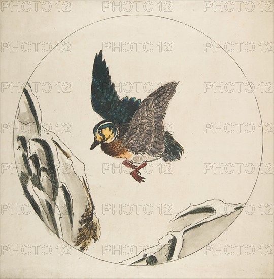 Decoration for a Plate: A Duck flying over Snow-covered Branches, 1850-1914.