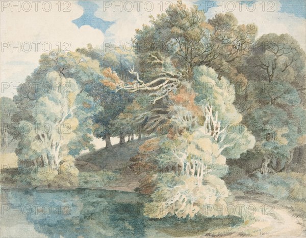 Trees by the Lake, Peamore Park, near Exeter, Devon, 1790-1810.