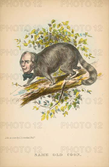 Same Old Coon (Henry Clay), from The Comic Natural History of the Human Race, 1851.