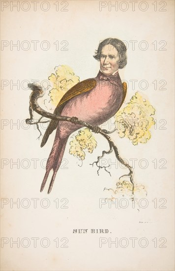 Sun Bird (James S. Wallace), from The Comic Natural History of the Human Race, 1851.