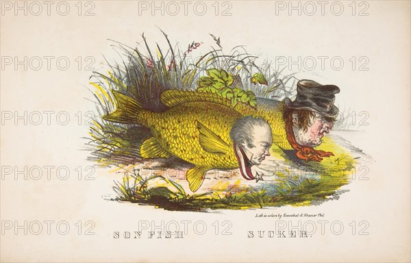 Son Fish and Sucker, from The Comic Natural History of the Human Race, 1851.