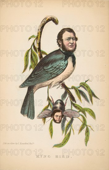 King Bird (Robert P. King and Alexander Baird), from The Comic Natural History of the Human Race, 1851.