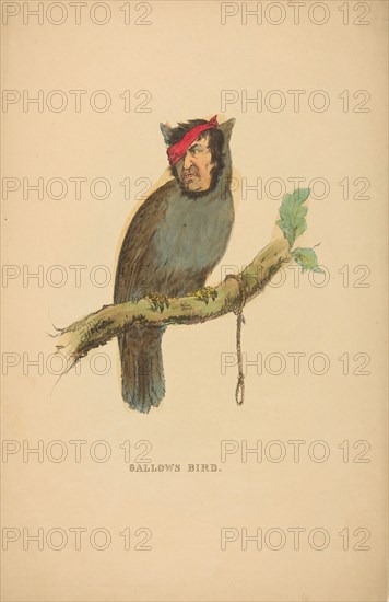 Gallows Bird, from The Comic Natural History of the Human Race, 1851.