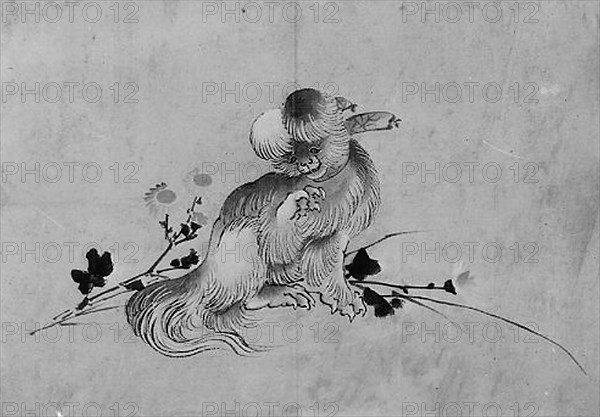 Pekingese, 19th century.
