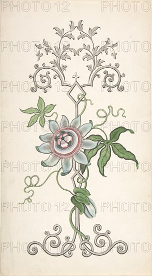 Design for Panel Decoration Centered on a Passion Flower, 1828-40.