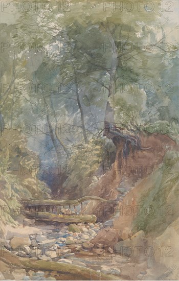 A Stream Near Clovelly, North Devon, 1850.