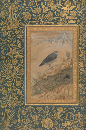 Diving Dipper and Other Birds, Folio from the Shah Jahan Album, recto: ca. 1610-15; verso: ca. 1535-45.