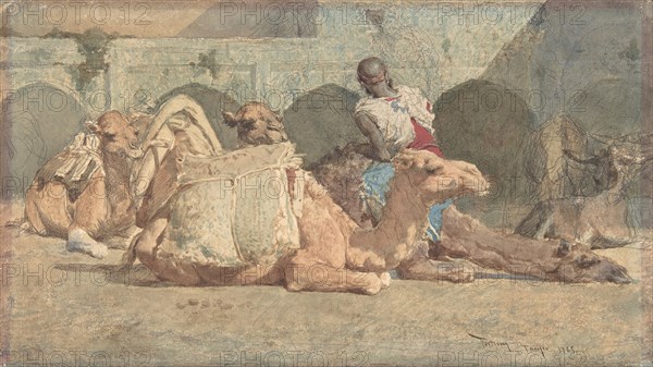 Camels Reposing, Tangiers, ca. 1854-74.