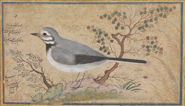 Study of a Bird, dated A.H. 1043/A.D. 1634.