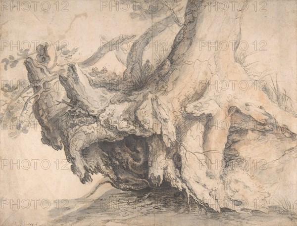 Study of a Tree, ca. 1606-7.