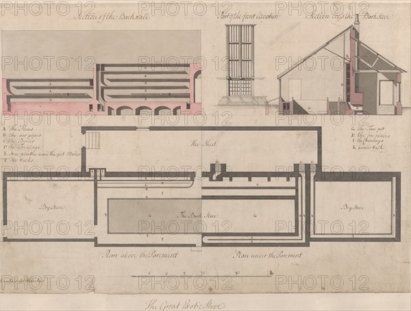 The Great Exotic Stove at Kew, 1763.