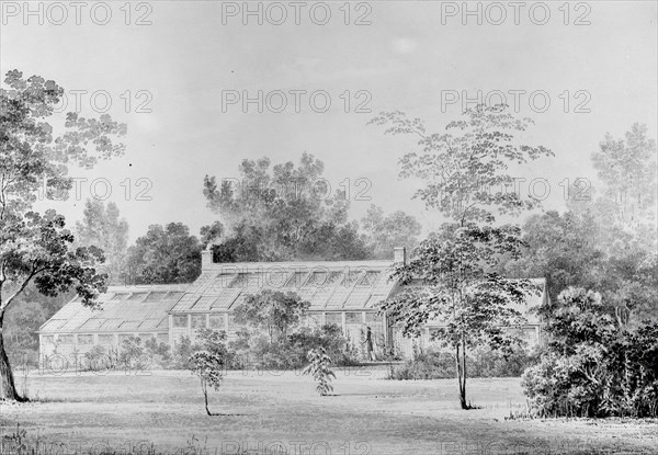 Greenhouse, David Hosack Estate, Hyde Park, New York (from Hoasack Album), ca. 1832.