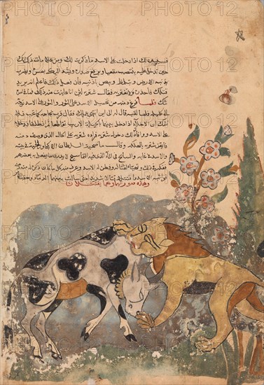 Folio from a Kalila wa Dimna, 18th century.