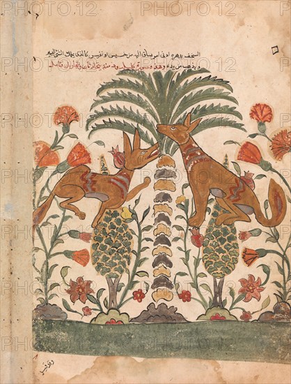 Kalila Upbraiding Dimna, Folio from a Kalila wa Dimna, 18th century.