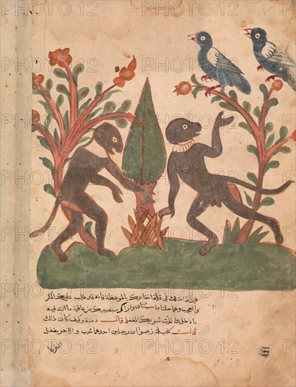 The Birds and the Monkeys with the Glow Worm, Folio from a Kalila wa Dimna, 18th century.