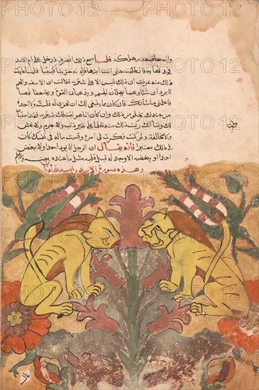 Folio from a Kalila wa Dimna, 18th century.