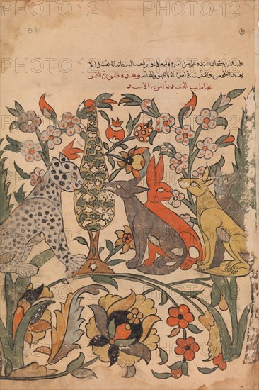 Leopard Bearing Lion's Order to Fellow Judges, Folio 51 recto from a Kalila wa Dimna, 18th century.